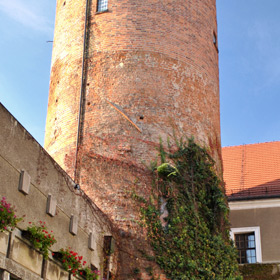 romańska wieża zamkowa - widok od strony dziedzińca