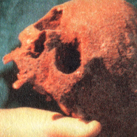 czaszka Jana II Dobrego