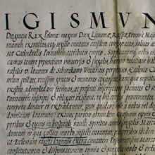 dokument Zygmunta II Augusta